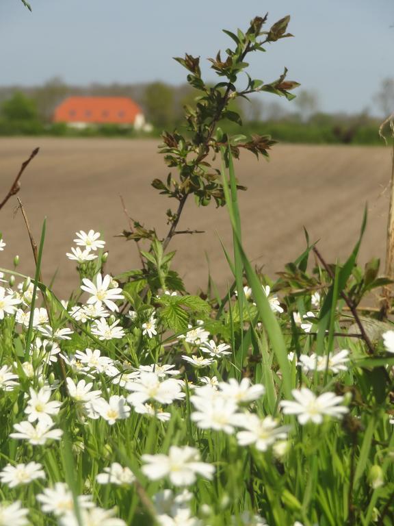 Land & Meer Hasselberg  Kültér fotó