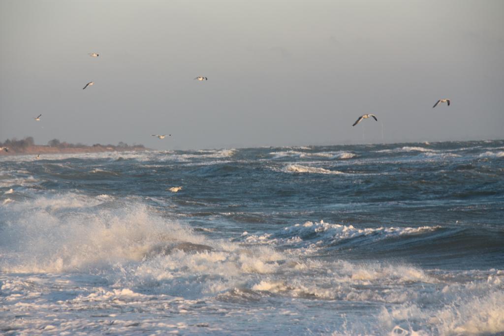 Land & Meer Hasselberg  Kültér fotó